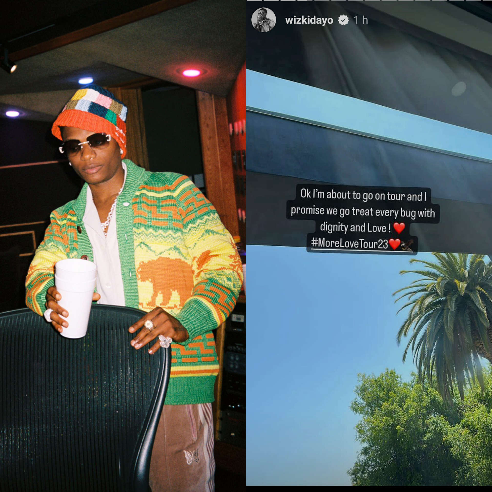 Wizkid promises to treat bugs with dignity